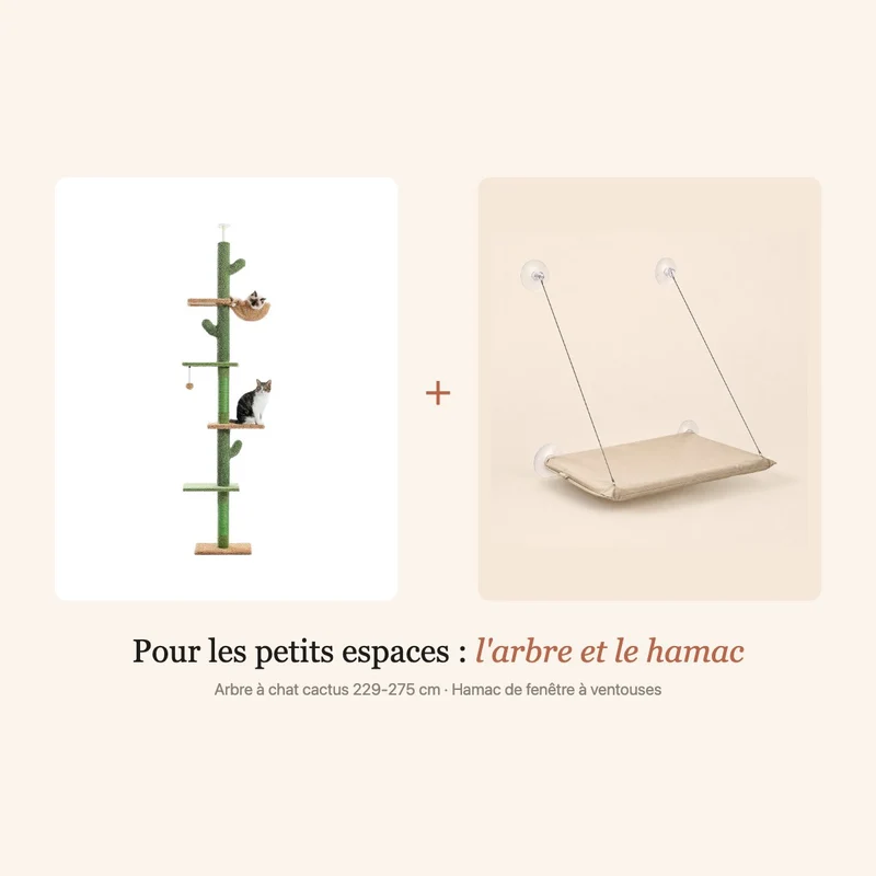 Pack Petit appartement – arbre à chat sol-plafond et hamac de fenêtre