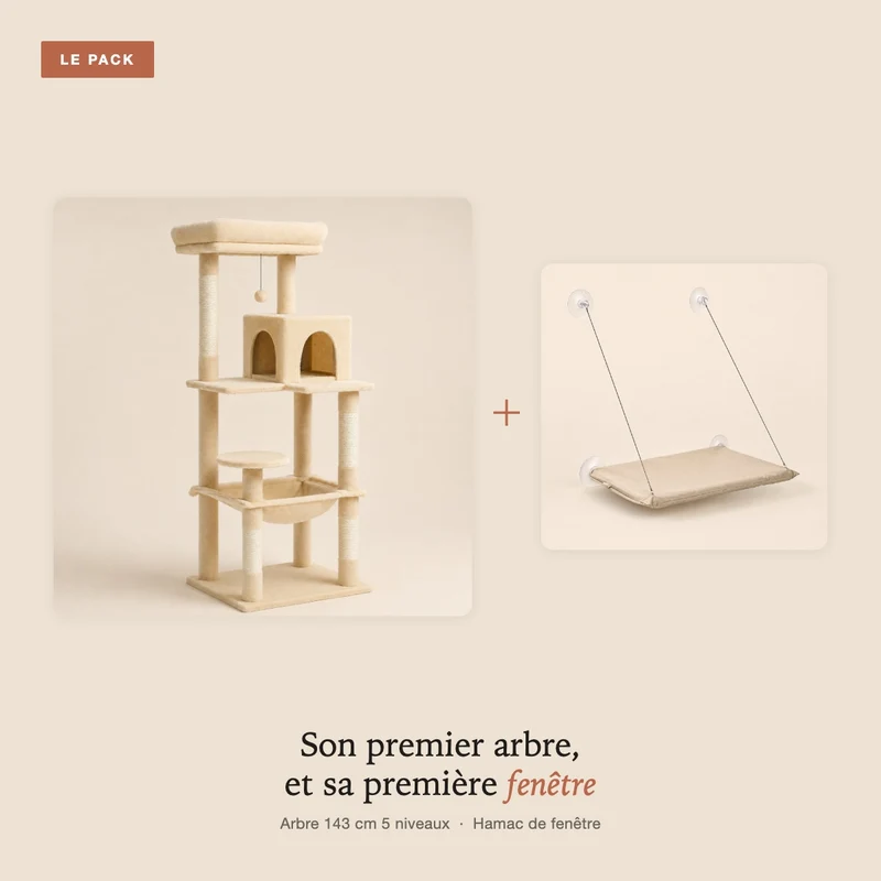Pack Premier arbre – arbre à chat 143 cm 5 niveaux et hamac de fenêtre