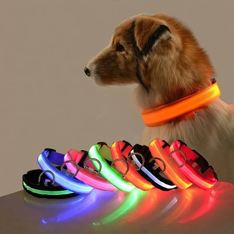 Collier LED lumineux pour chien et chat – Sécurité nocturne, 3 modes clignotants