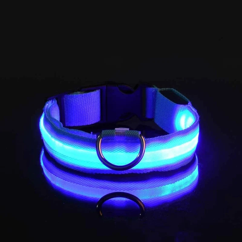 Collier LED lumineux pour chien et chat – Sécurité nocturne, 3 modes clignotants