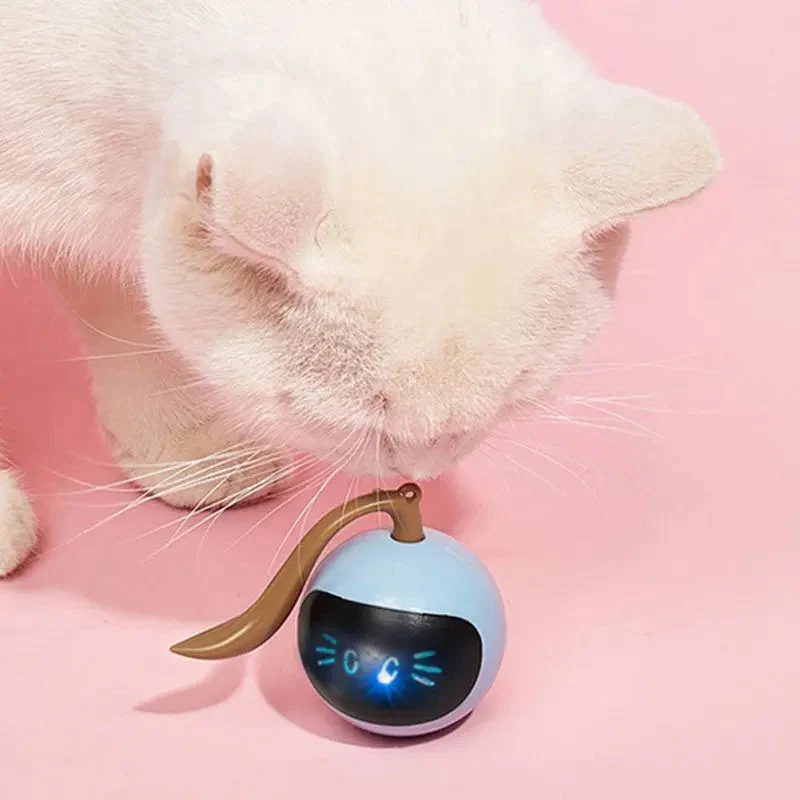 Balle interactive chaton - Félinaroulette™
