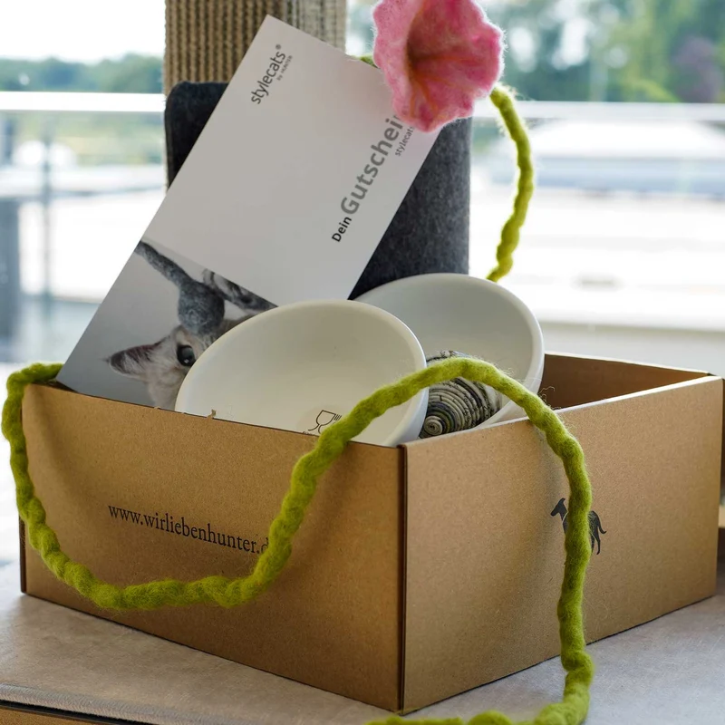 Katzenbox