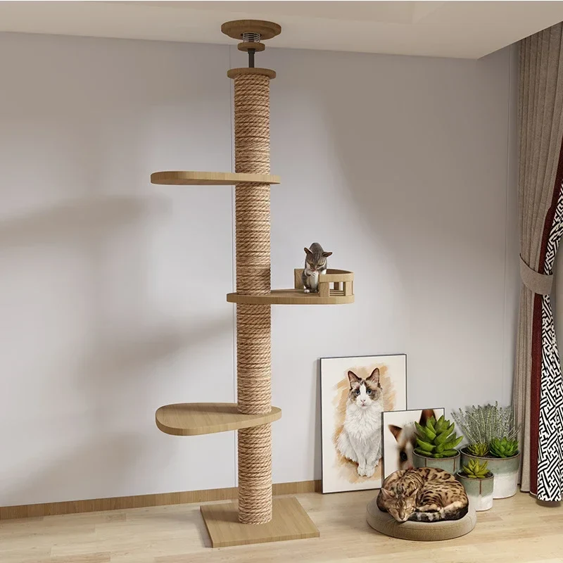 Arbre à Chat Maine Coon