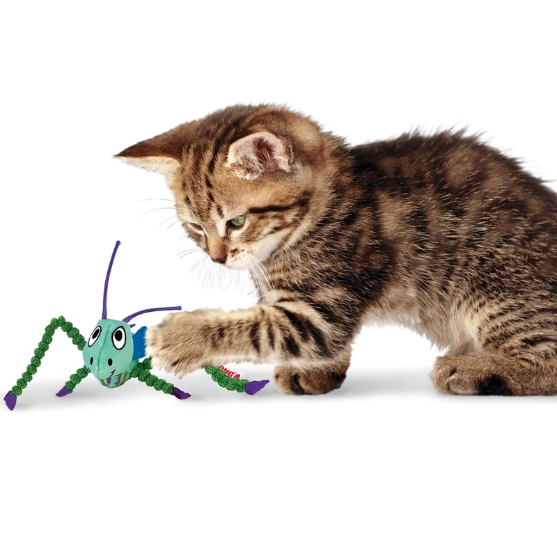 Katzenspielzeug KONG® Crackles Grasshopper