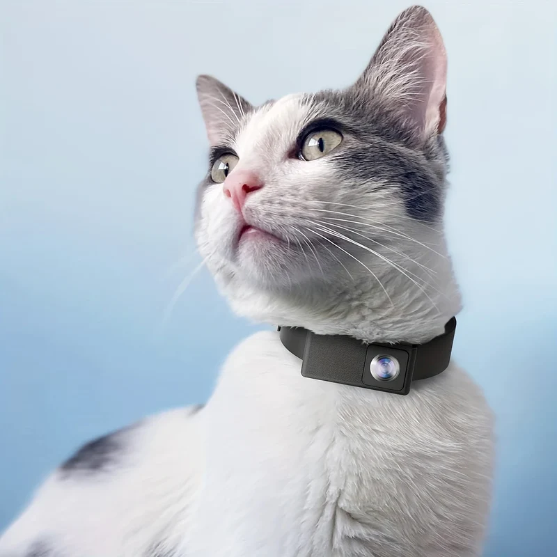 VIZU - Collier Caméra pour Chat