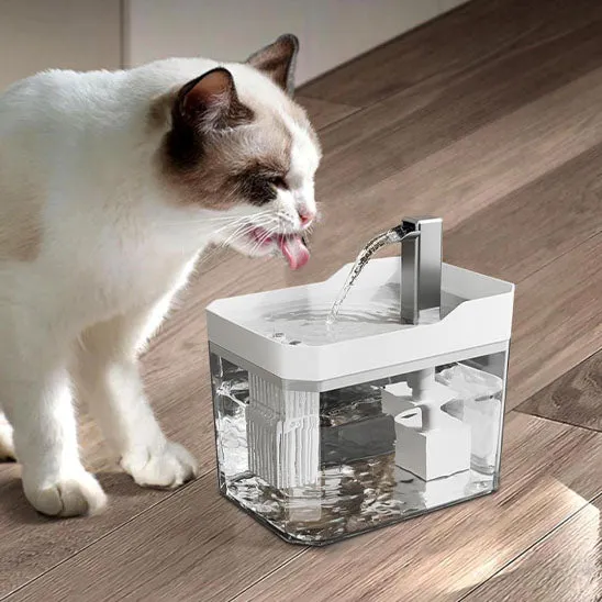 Fontaine à Eau pour Chat | Silentflow