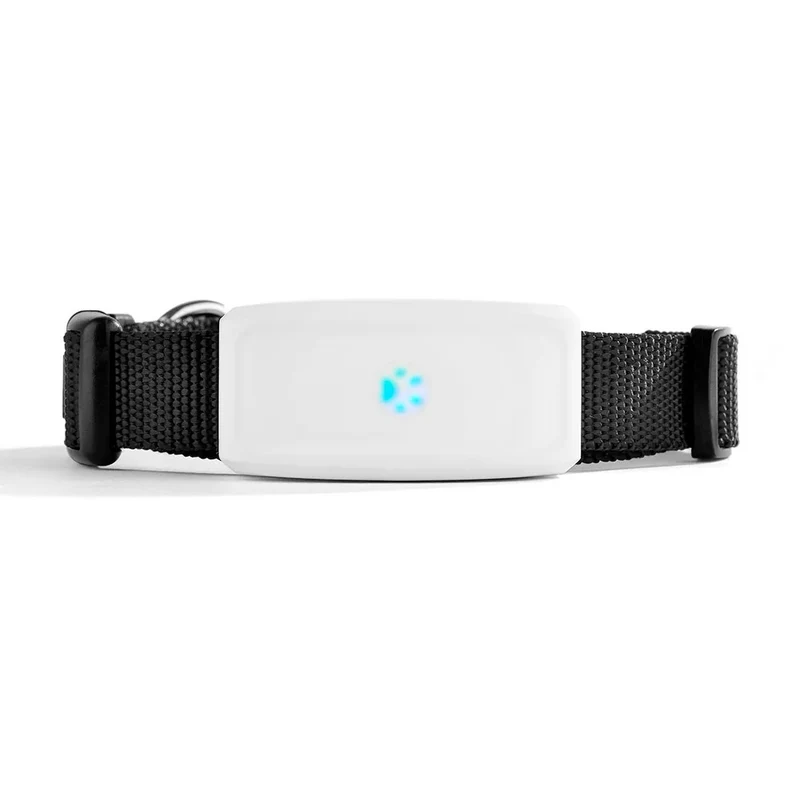 Traceur GPS pour chat – Suivi en temps réel