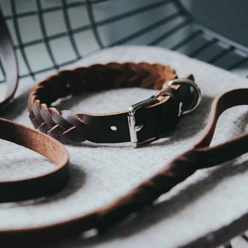 SOLID EDUCATION Special Set Halsband & Führleine | braun