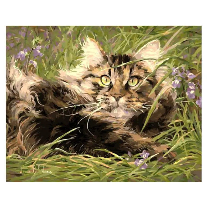 Peinture par Numéros de Chat Couché dans l'Herbe