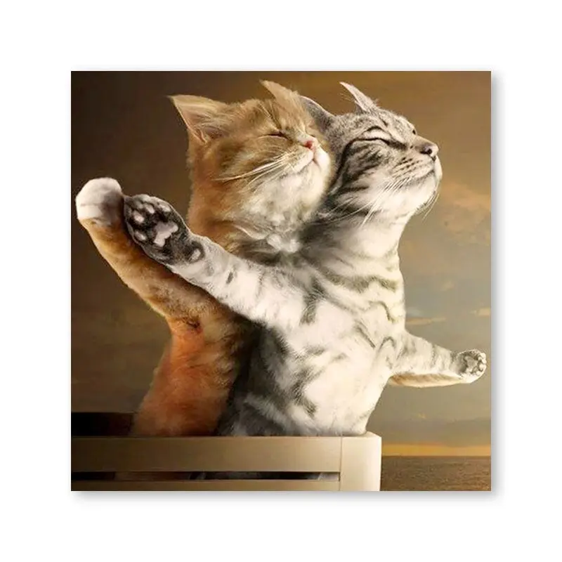 Peinture par Numéro Chats sur le Titanic