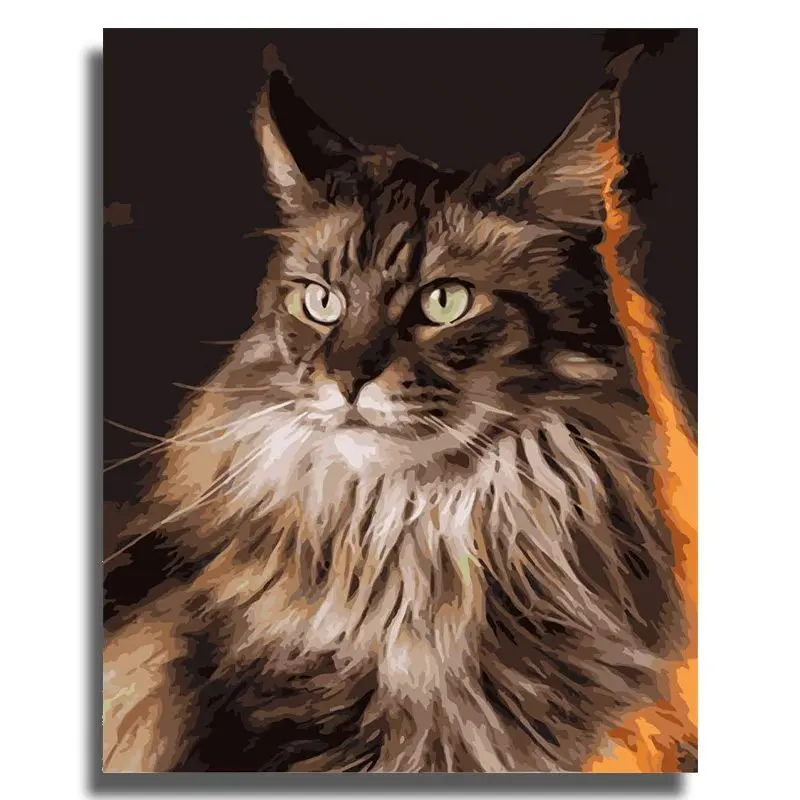 Peinture par Numéro Chat Maine Coon