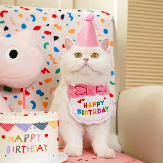 Déguisement pour chat - Kit Anniverssaire