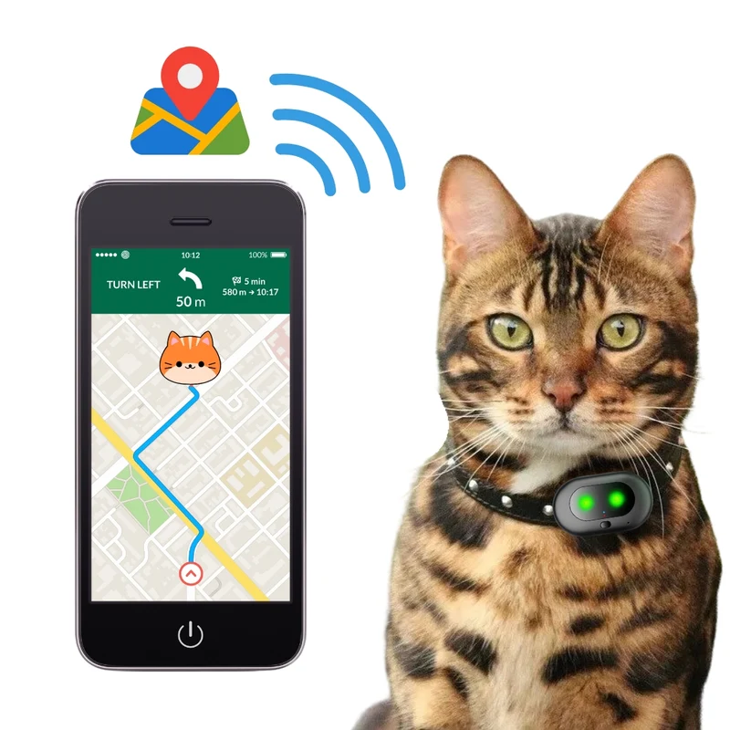 CATQUEST - Collier GPS Chat Bengal