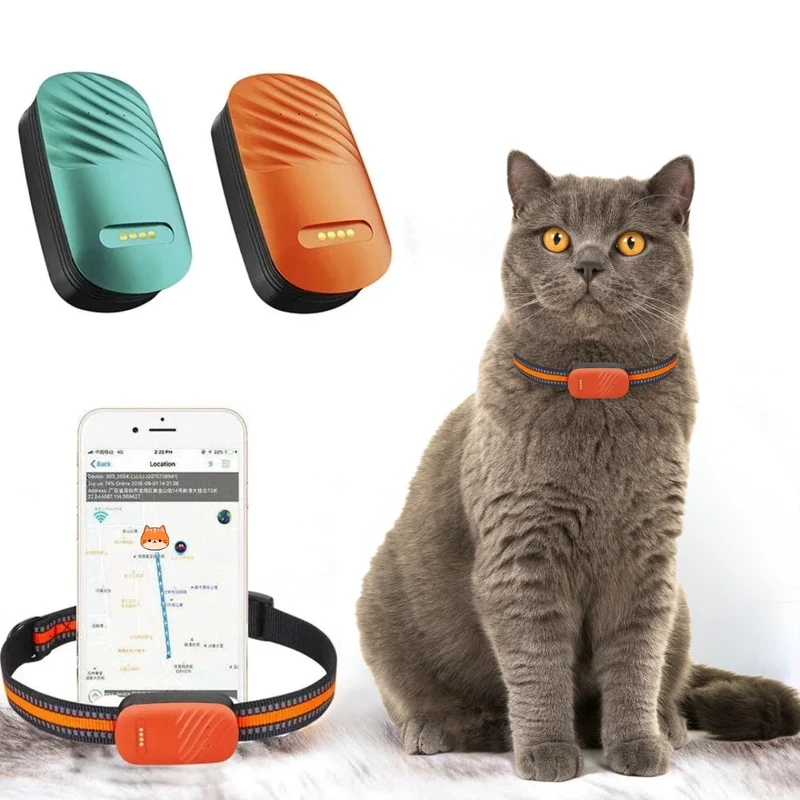 PURRSUIT - Collier GPS Chat British Shorthair
