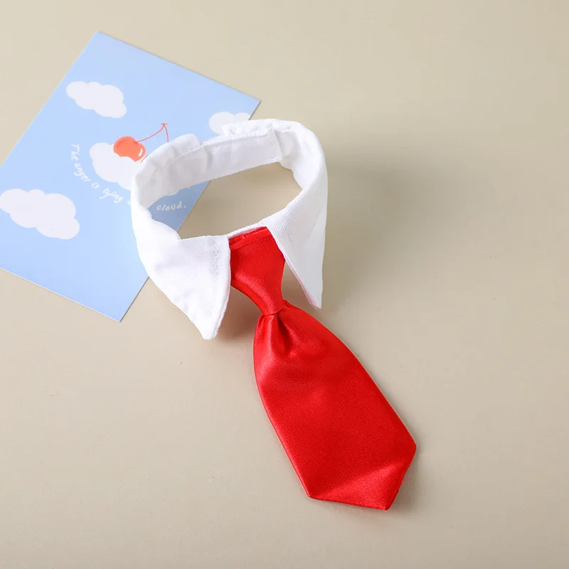 Collier Cravate pour Chat