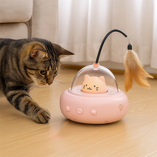 Jouet pour Chat - Secoupe interactive