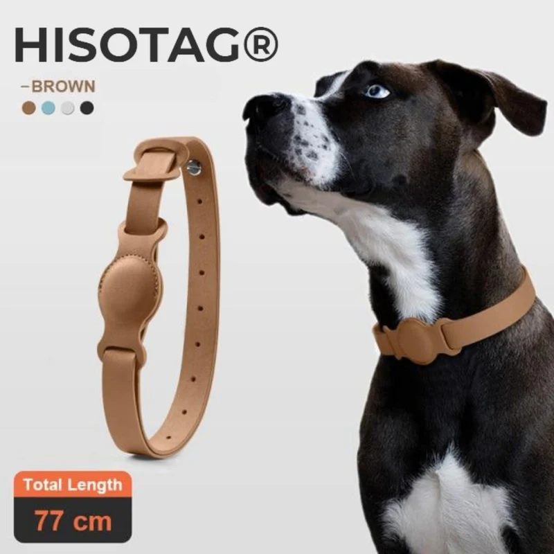 Collier Premium Hisotag pour Chien