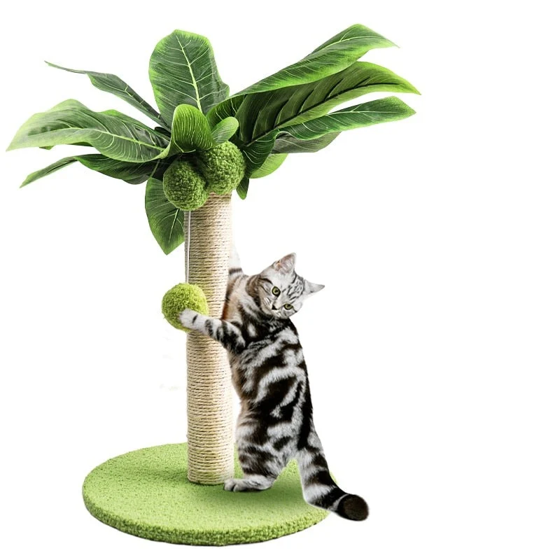 PALMO - Arbre à Chat Palmier