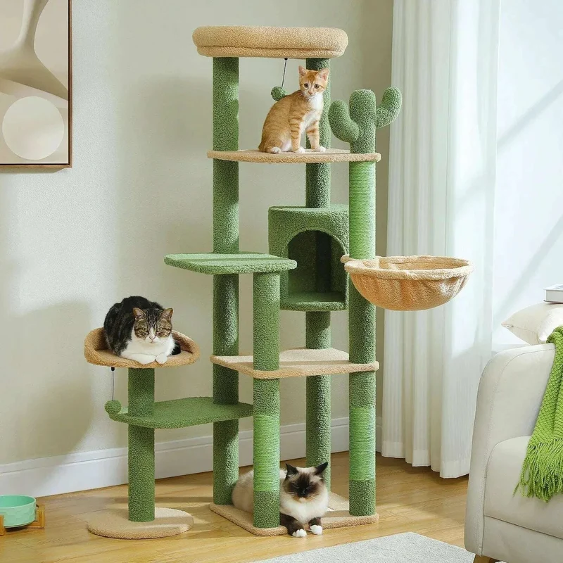 Arbre à chat vert foncé