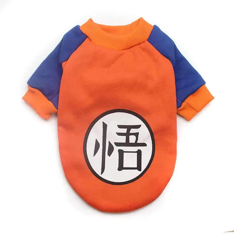 Pull pour chat orange