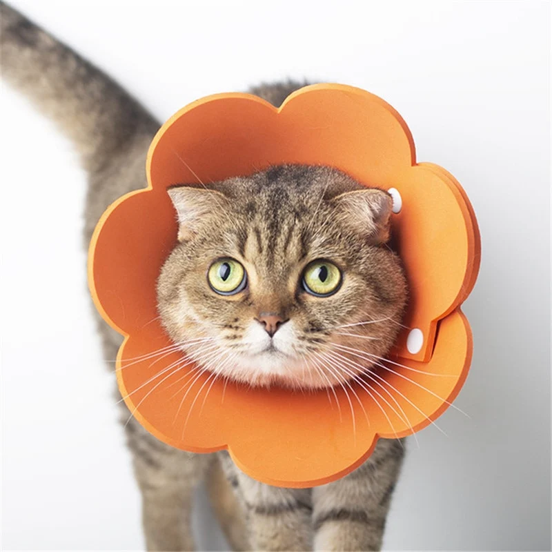 Collerette Souple en forme de Fleur