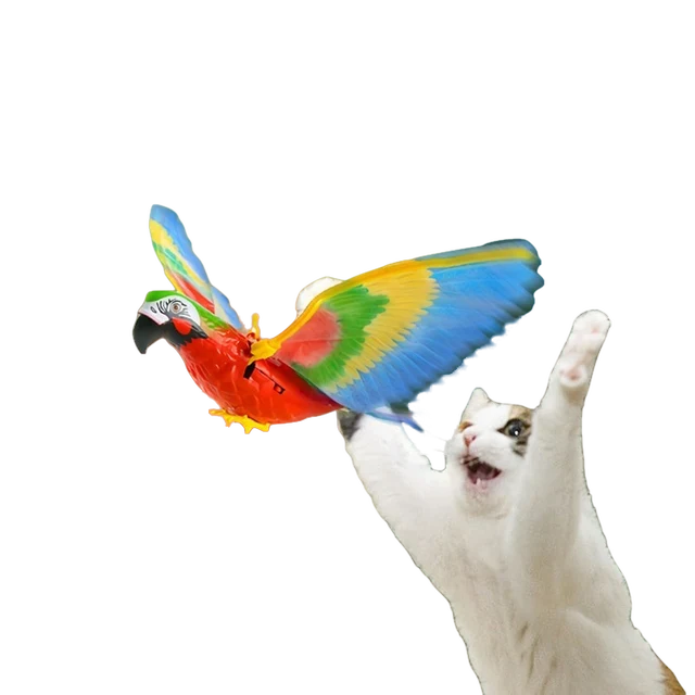 Oiseau intéractif pour Chat