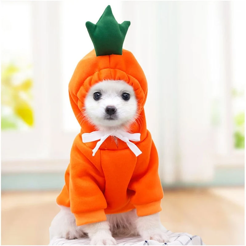 Sweat à Capuche Fruit pour Chien