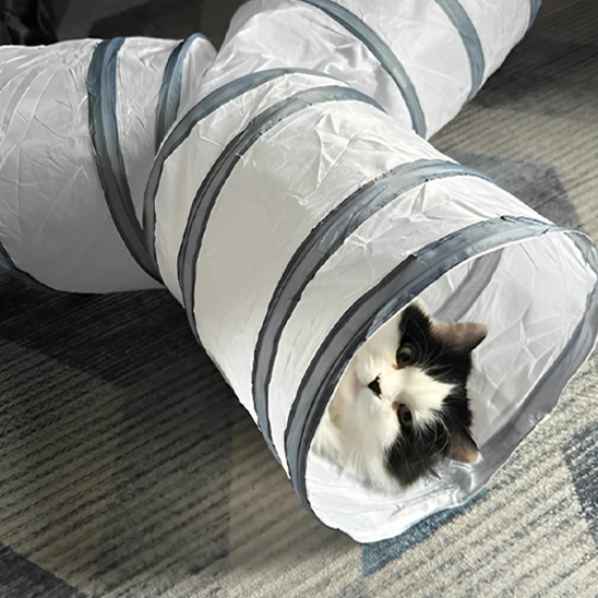 Tunnel jouet pour chat - Interactif