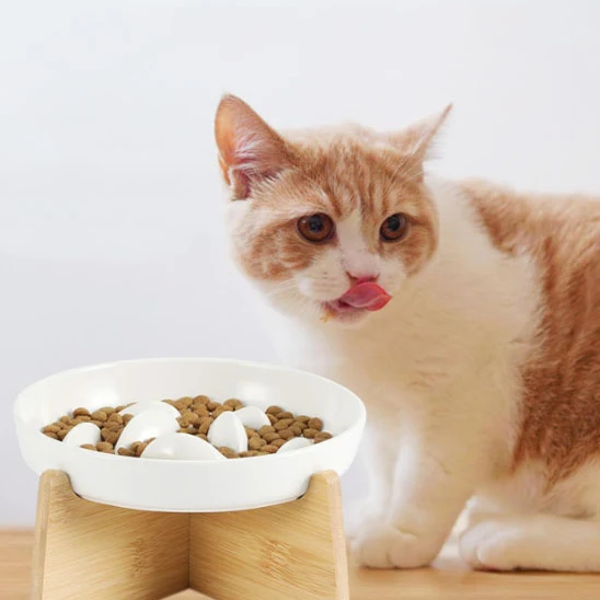 Gamelle anti glouton chat céramique | Anti-vomissement