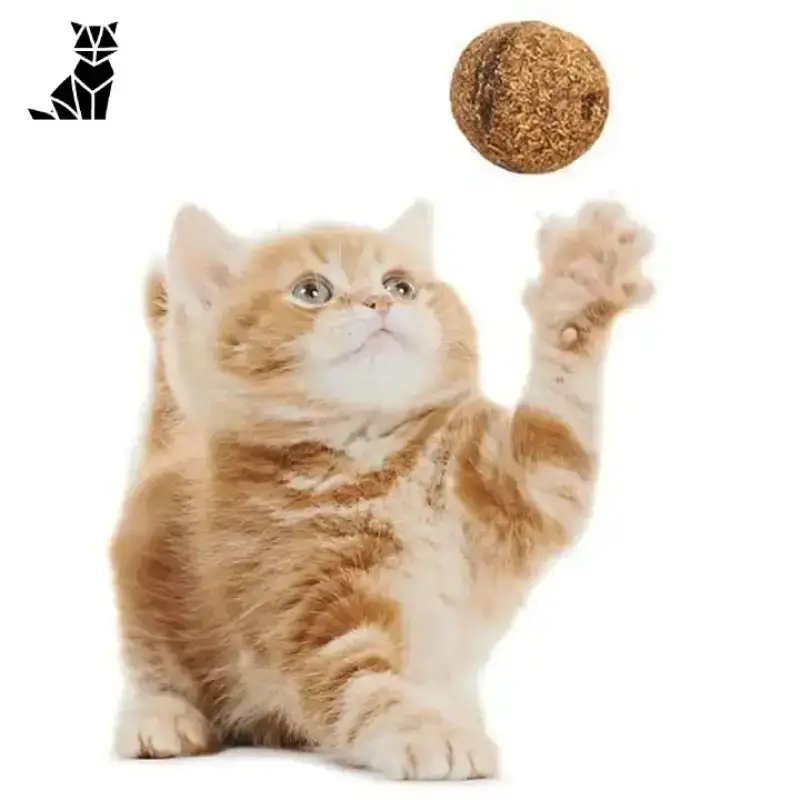 Balle Herbe à Chat Naturelle Euphorisante