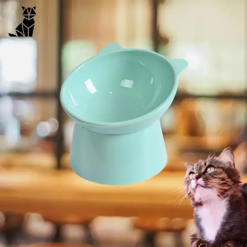 Gamelle Chat Surélevée TopDiner™ – Confort et Digestion