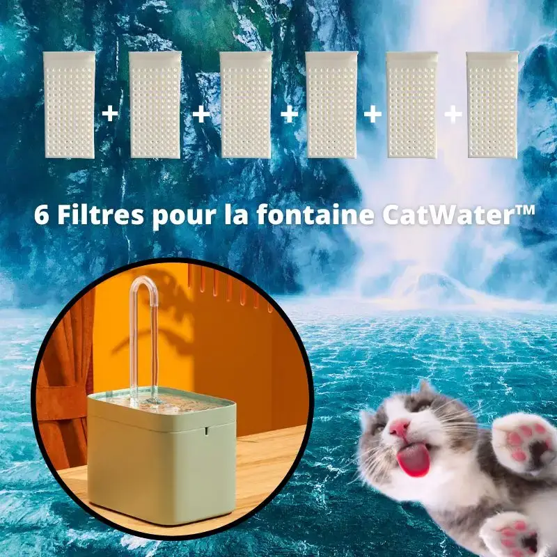 Filtres Fontaine à Eau Chat Recharge Mensuelle
