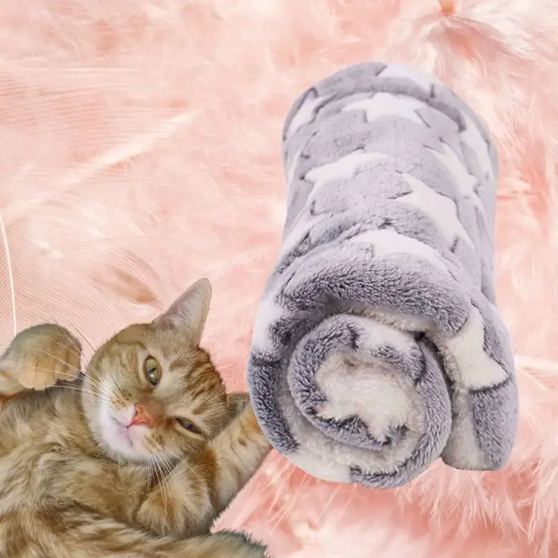 Couverture Chat Apaisante Rebord Surélevé