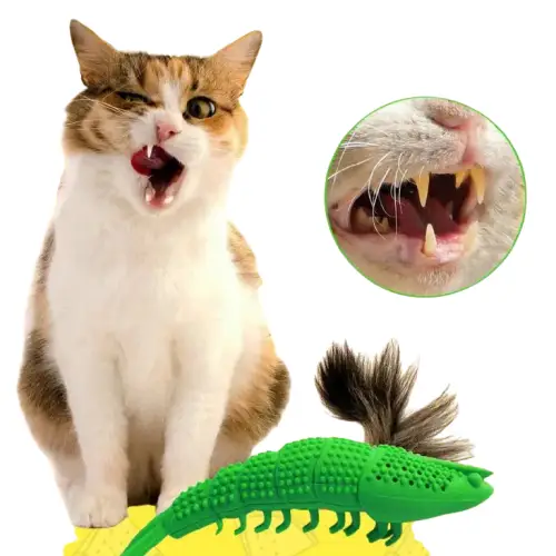Brosse à Dents Chat Ludique Anti-tartre