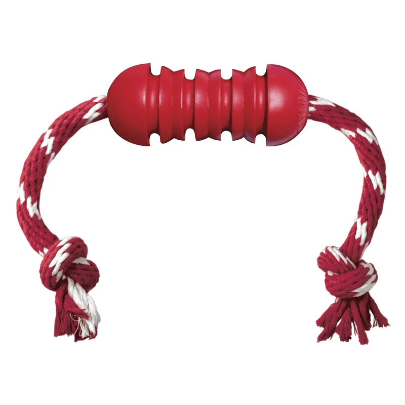 Hundespielzeug KONG® Dental mit Tau