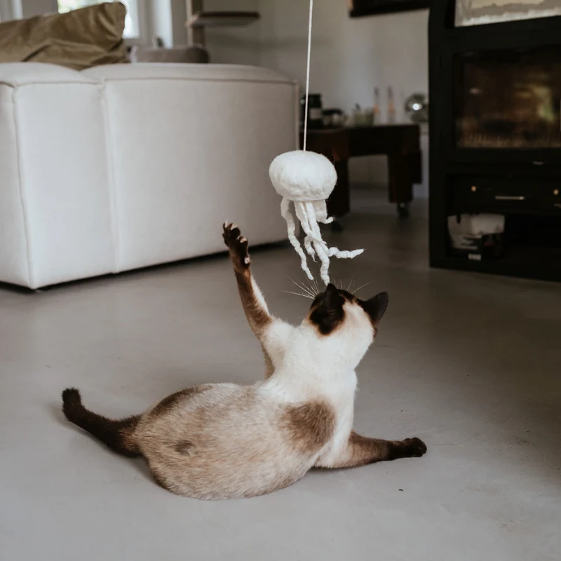 Katzenspielzeug Kwalle Karl