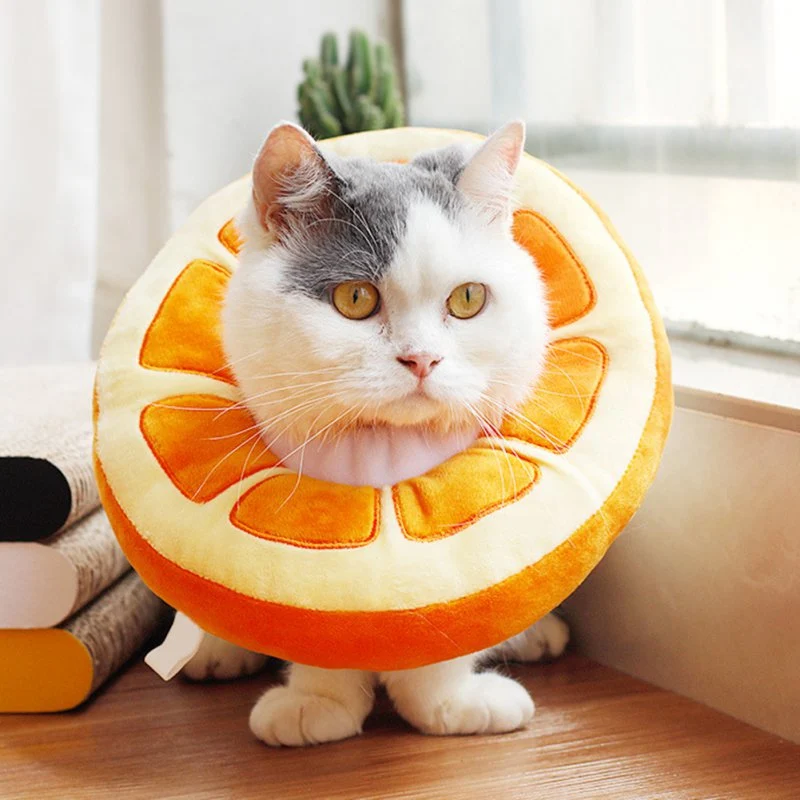 Collerette Peluche en forme de Fruit
