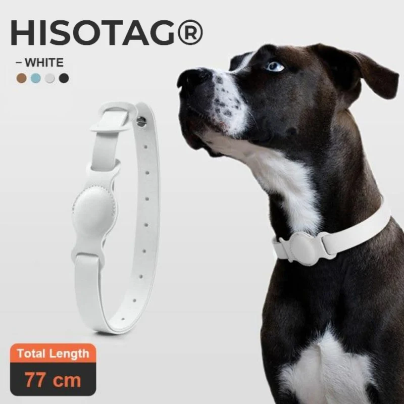 Collier Premium Hisotag® pour Chien