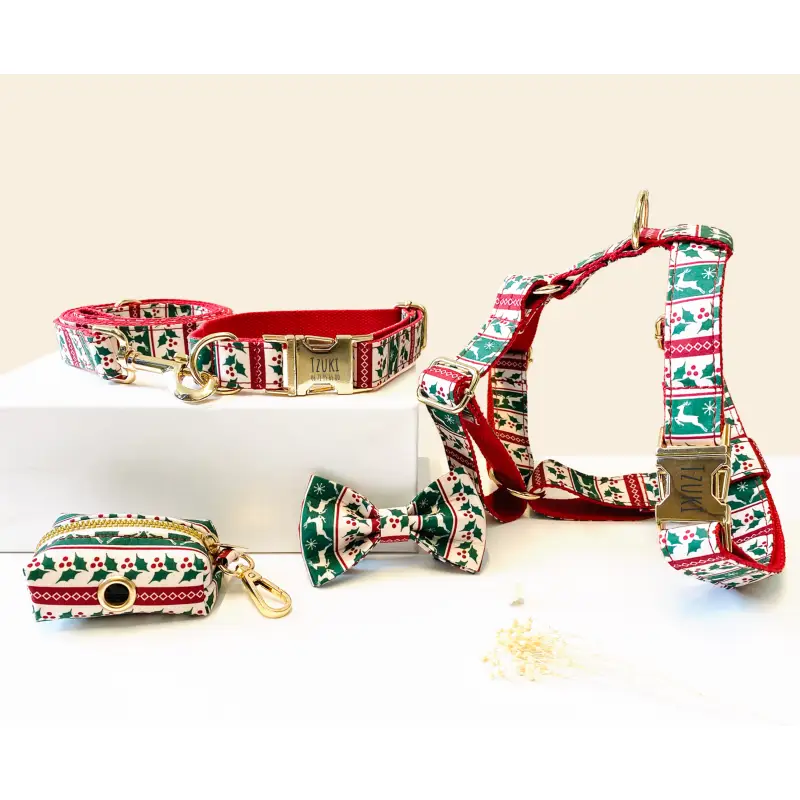Kit Complet Chien Noël Coton avec Harnais