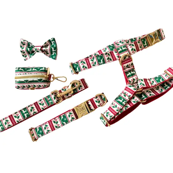 Laisse Chien Noël Coton Festive 120 Cm
