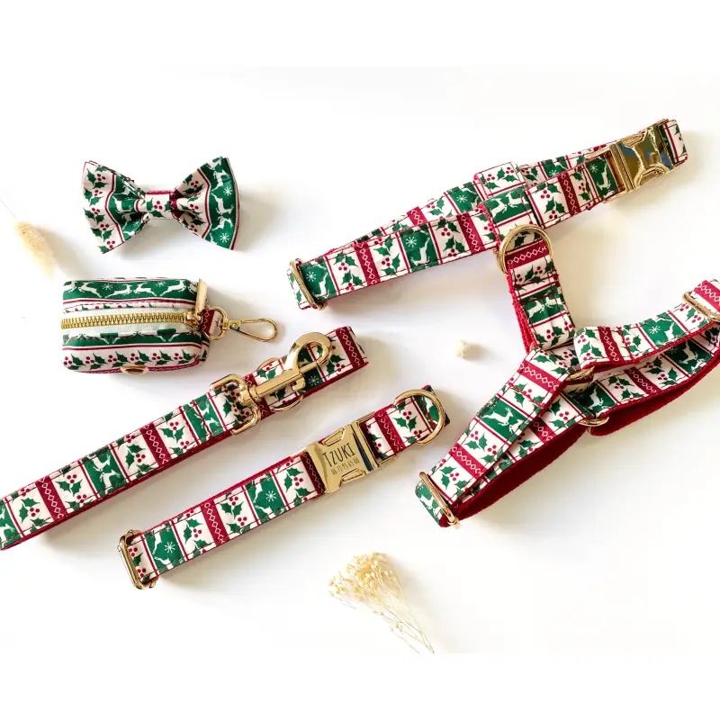 Laisse Chien Noël Coton Festive 120 Cm