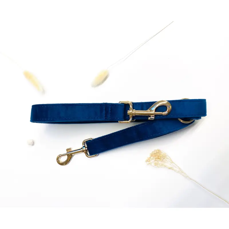 Laisse Convertible Chien Velours Multiposition