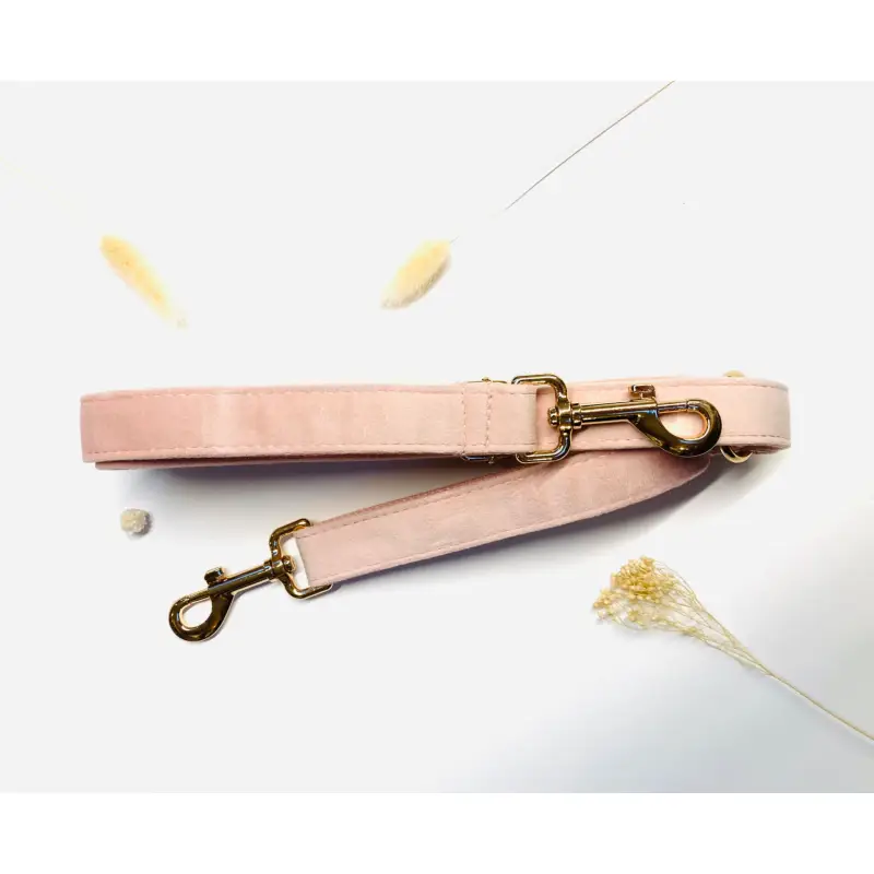 Laisse Chien Ergonomique Multiposition Velours
