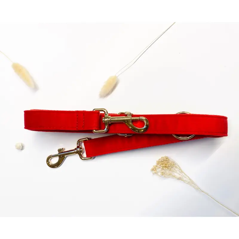Laisse Multiposition Chien Velours Ajustable