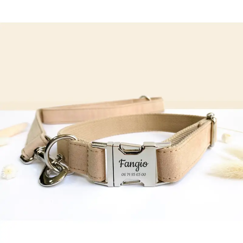 Laisse Coton Chien Résistante pour Balade