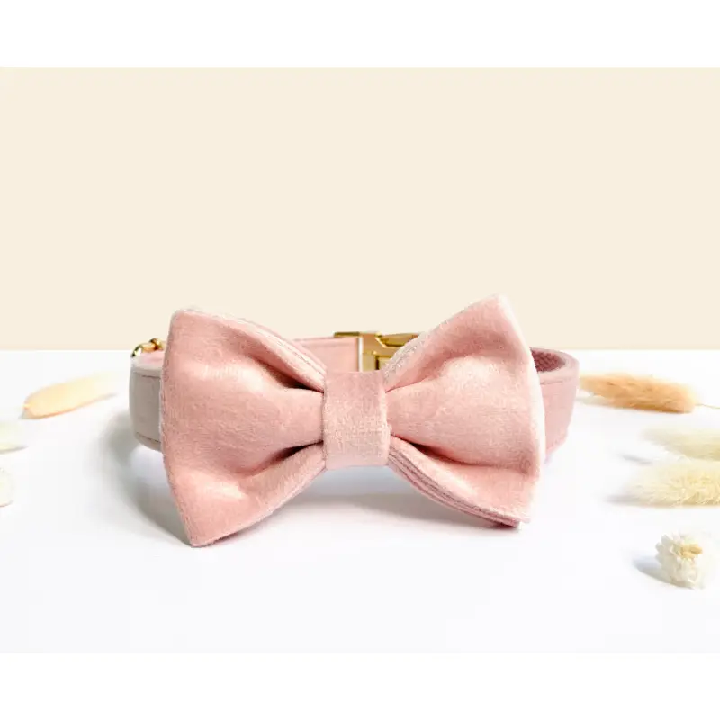 Noeud Papillon Chien Velours Élégant