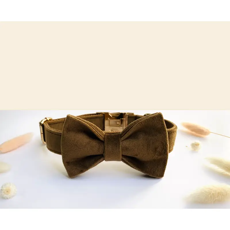 Noeud Papillon Velours Élégant pour Chien