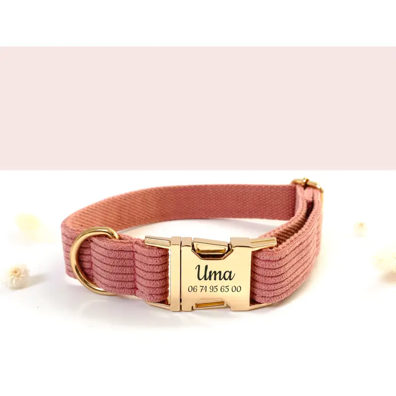 Collier Chien Gravé - Velours Côtelé et Gravure Laser