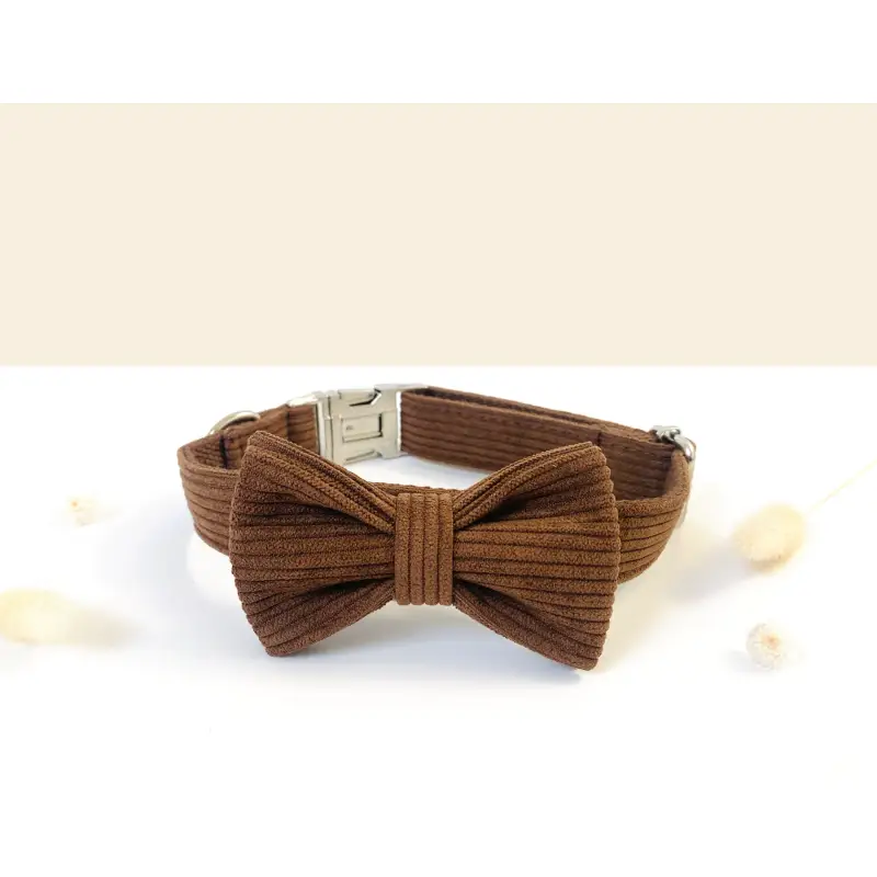 Noeud Papillon Velours Chien Fixation Scratch