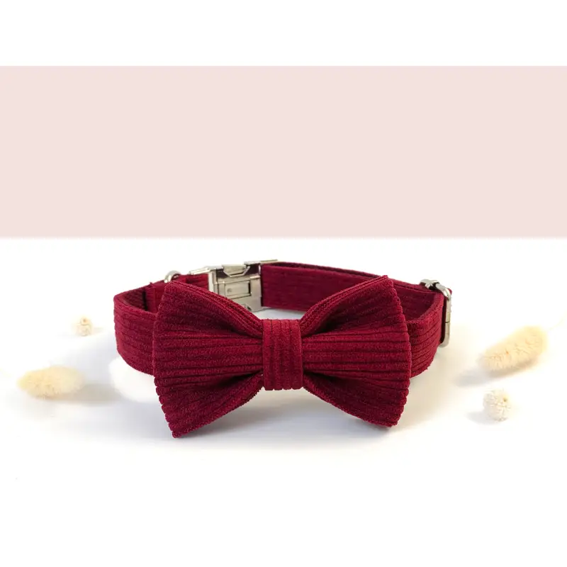 Noeud Papillon Chien Velours Côtelé Élégant